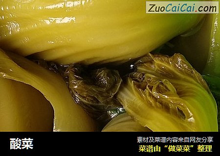 酸菜