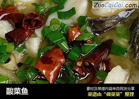 酸菜鱼