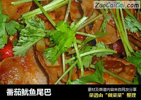 番茄鱿鱼尾巴