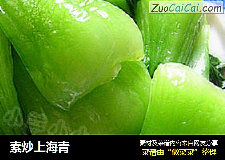 素炒上海青