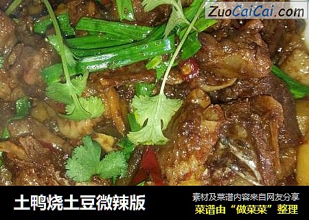 土鸭烧土豆微辣版