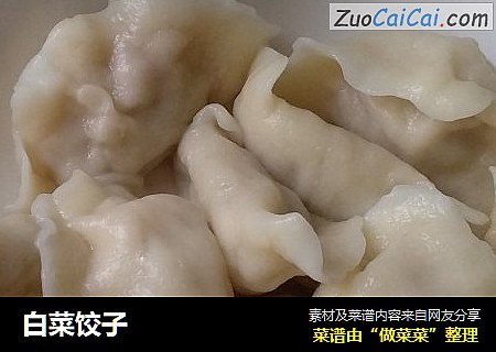 白菜饺子
