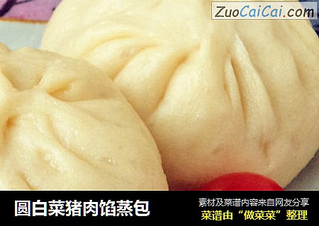 圆白菜猪肉馅蒸包