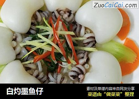 白灼墨鱼仔