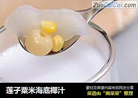 莲子粟米海底椰汁