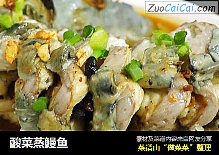 酸菜蒸鳗鱼