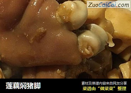 莲藕焖猪脚