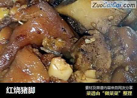 红烧猪脚