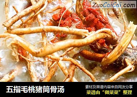 五指毛桃猪筒骨汤