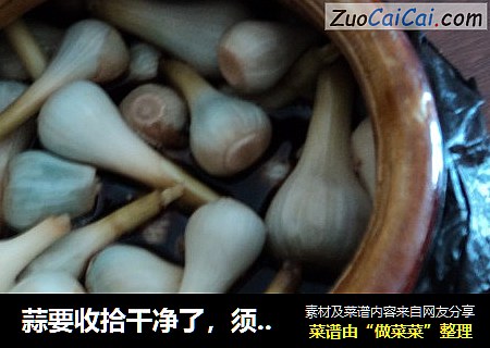 蒜要收拾干净了，须子不要切得太多，否则该散了-腌蒜