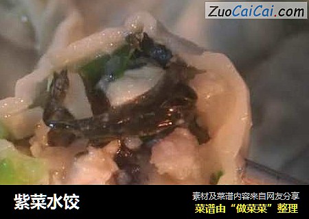 紫菜水饺
