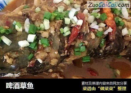 啤酒草鱼
