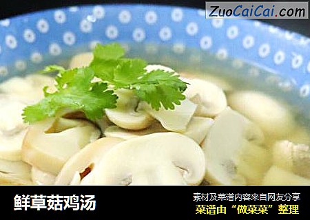 鲜草菇鸡汤