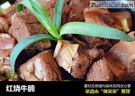 红烧牛腩