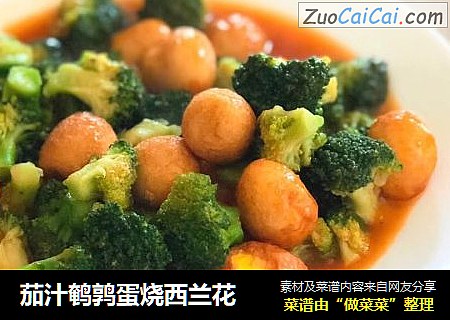 茄汁鹌鹑蛋烧西兰花