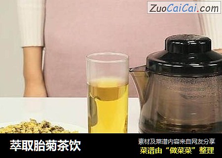 萃取胎菊茶饮