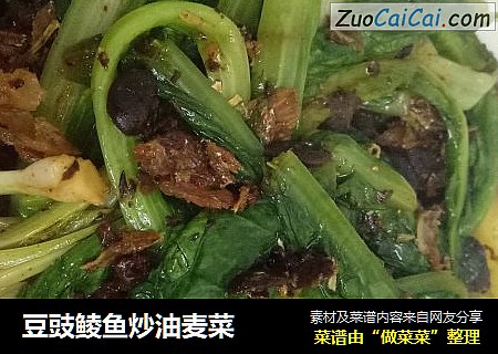 豆豉鲮鱼炒油麦菜