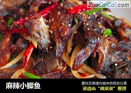 麻辣小鲫鱼