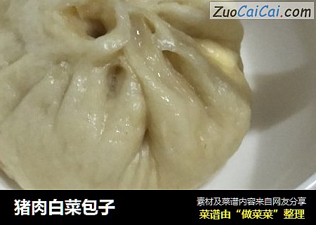 猪肉白菜包子