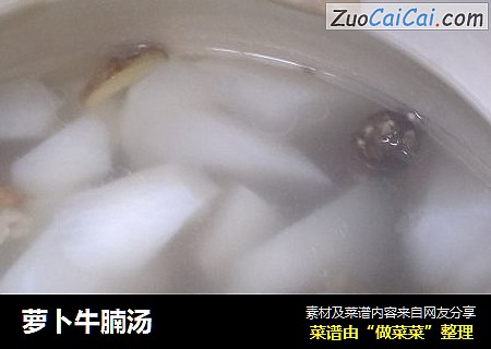 萝卜牛腩汤