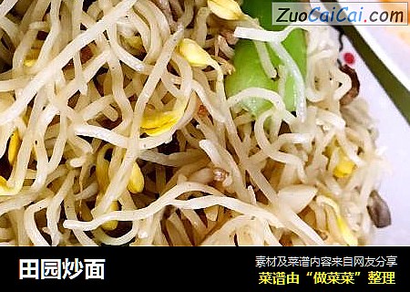 田园炒面