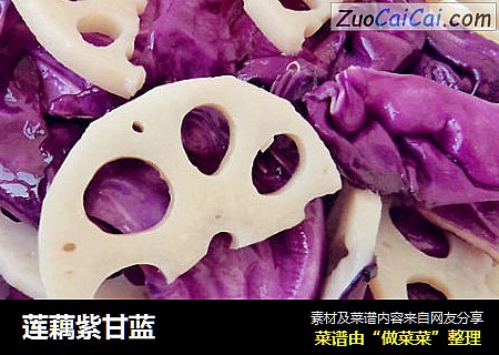莲藕紫甘蓝