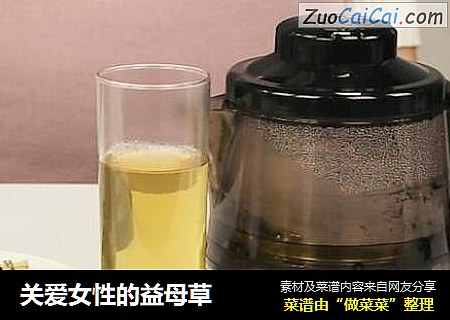 关爱女性的益母草