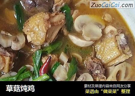 草菇炖鸡