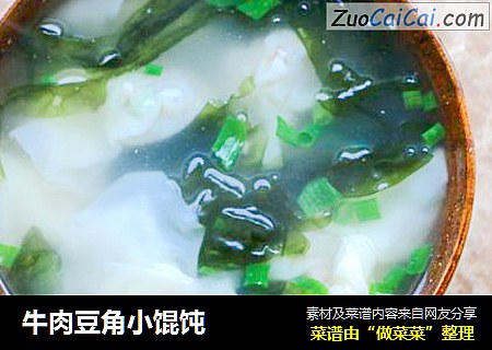 牛肉豆角小馄饨 