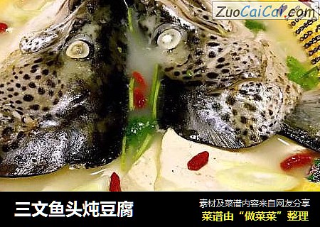 三文鱼头炖豆腐