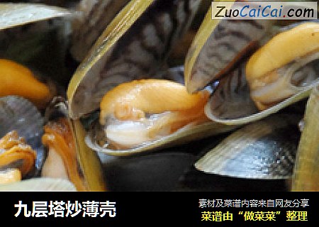 九层塔炒薄壳