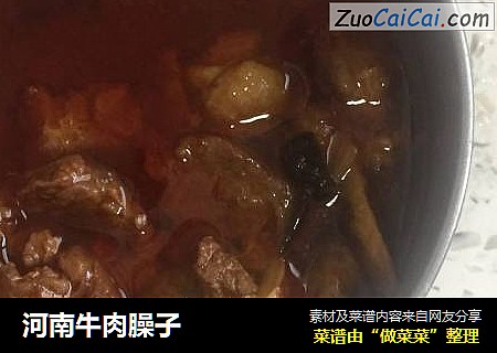 河南牛肉臊子