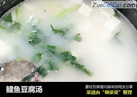 鲤鱼豆腐汤