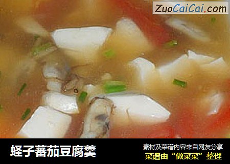 蛏子蕃茄豆腐羹