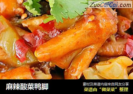 麻辣酸菜鸭脚