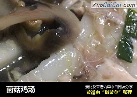 菌菇鸡汤