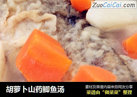 胡萝卜山药鲫鱼汤