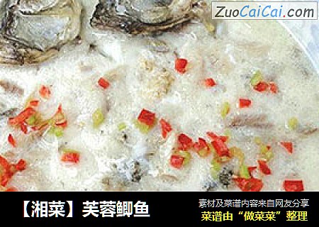 【湘菜】芙蓉鲫鱼