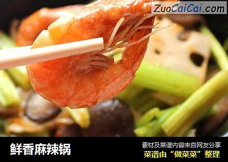 鲜香麻辣锅