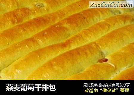 燕麦葡萄干排包