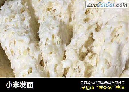 小米发面