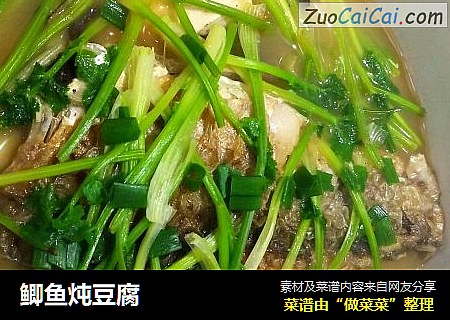 鲫鱼炖豆腐