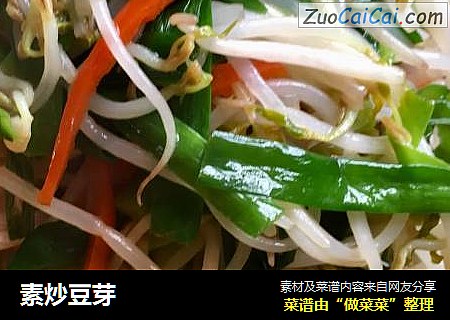 素炒豆芽