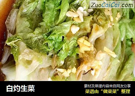 白灼生菜