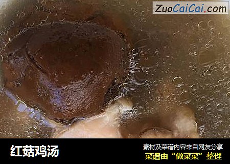 红菇鸡汤
