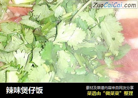 辣味煲仔饭