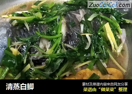清蒸白鲫