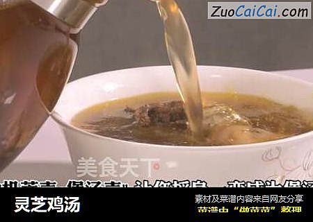 灵芝鸡汤