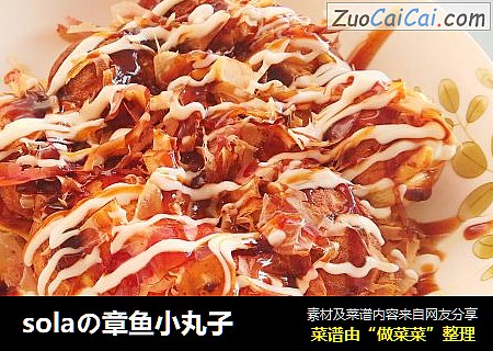 solaの章鱼小丸子