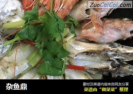 杂鱼鼎
